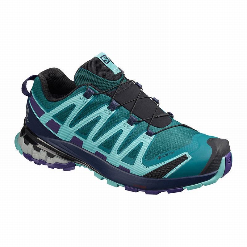 Salomon Israel XA PRO 3D V8 GORE-TEX - Womens Trail Running Shoes - Blue (UBPV-43027)